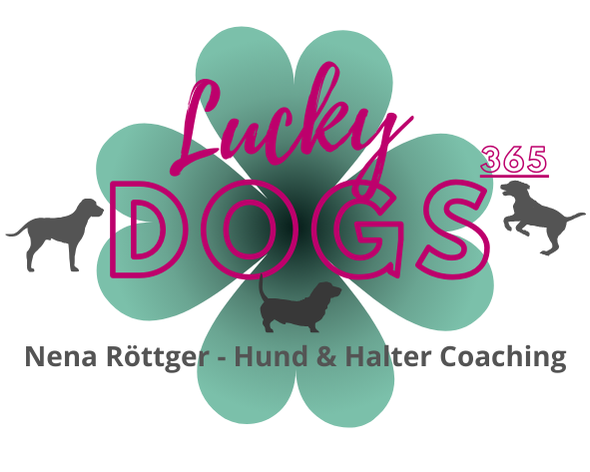luckydogs365.feeketelsen-staging.de